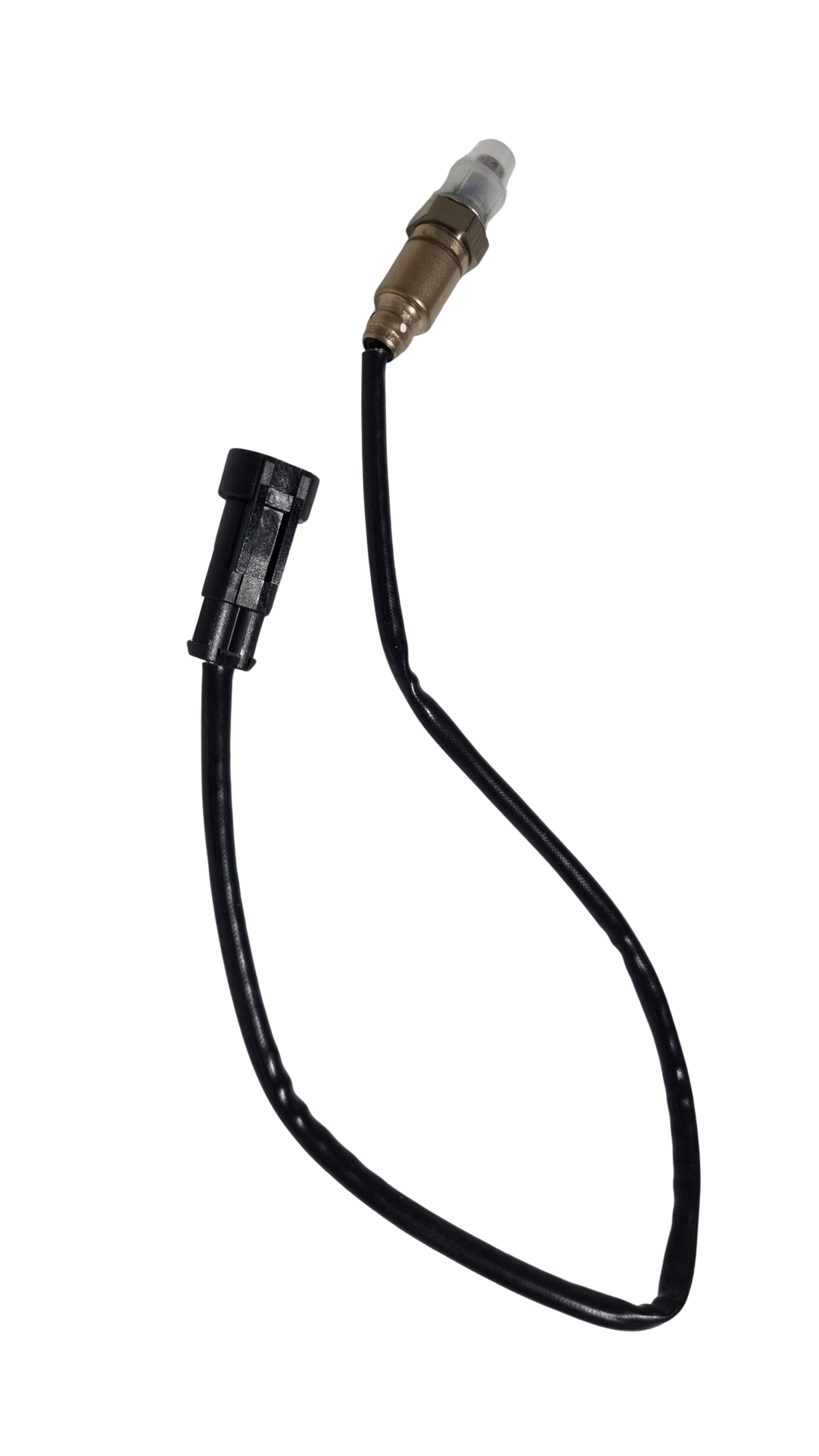 D12000i - Oxygen Sensor (RATO)