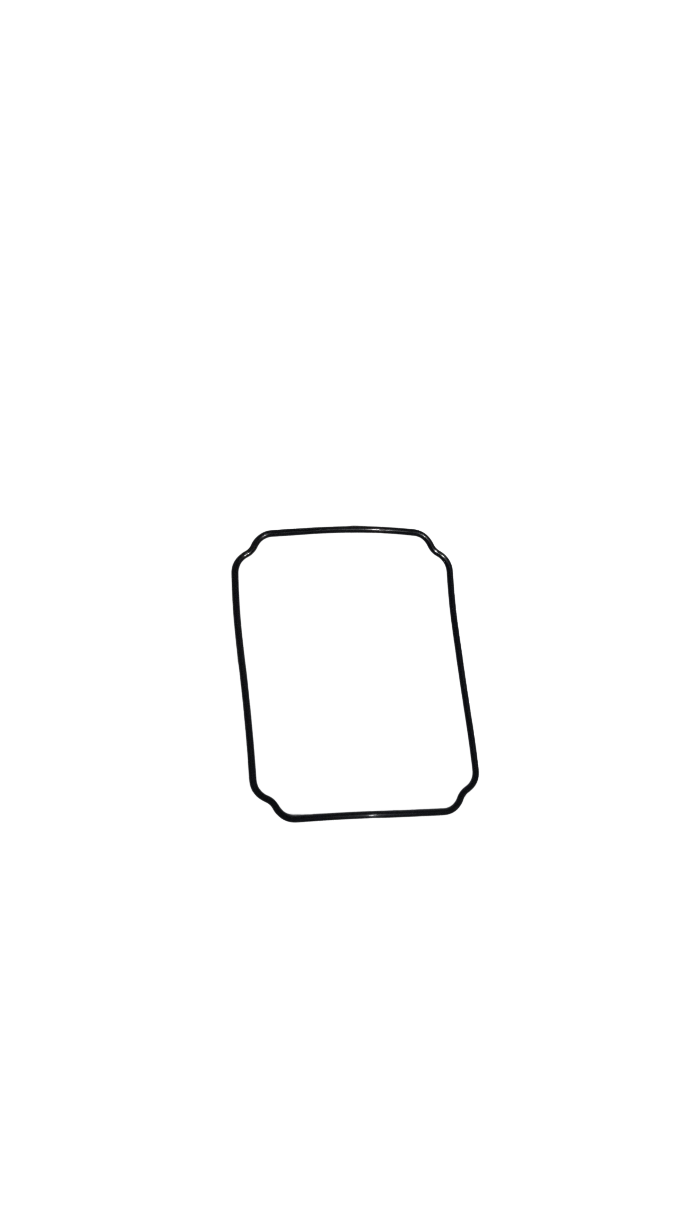 T40 Aerial-Electronics Module and Spraying Module Sealing Ring